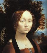 Leonardo  Da Vinci Portrait of Ginerva de'Benci-u oil painting on canvas